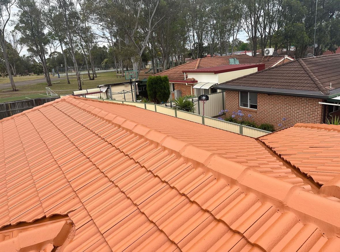 The same Sydney tile roof after restoration and recoating
