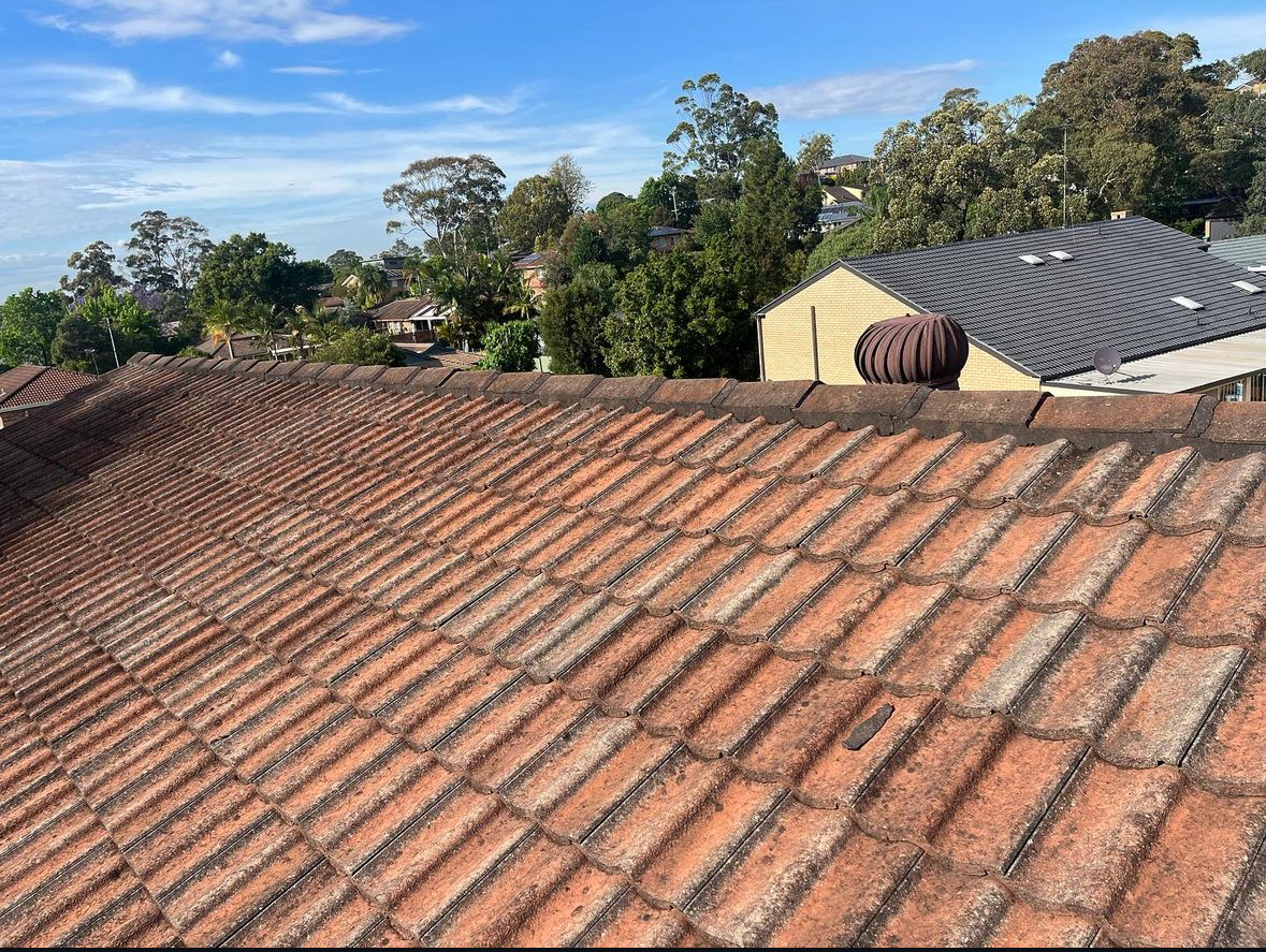 Sydney tile roof before restoration, faded and covered in lichen