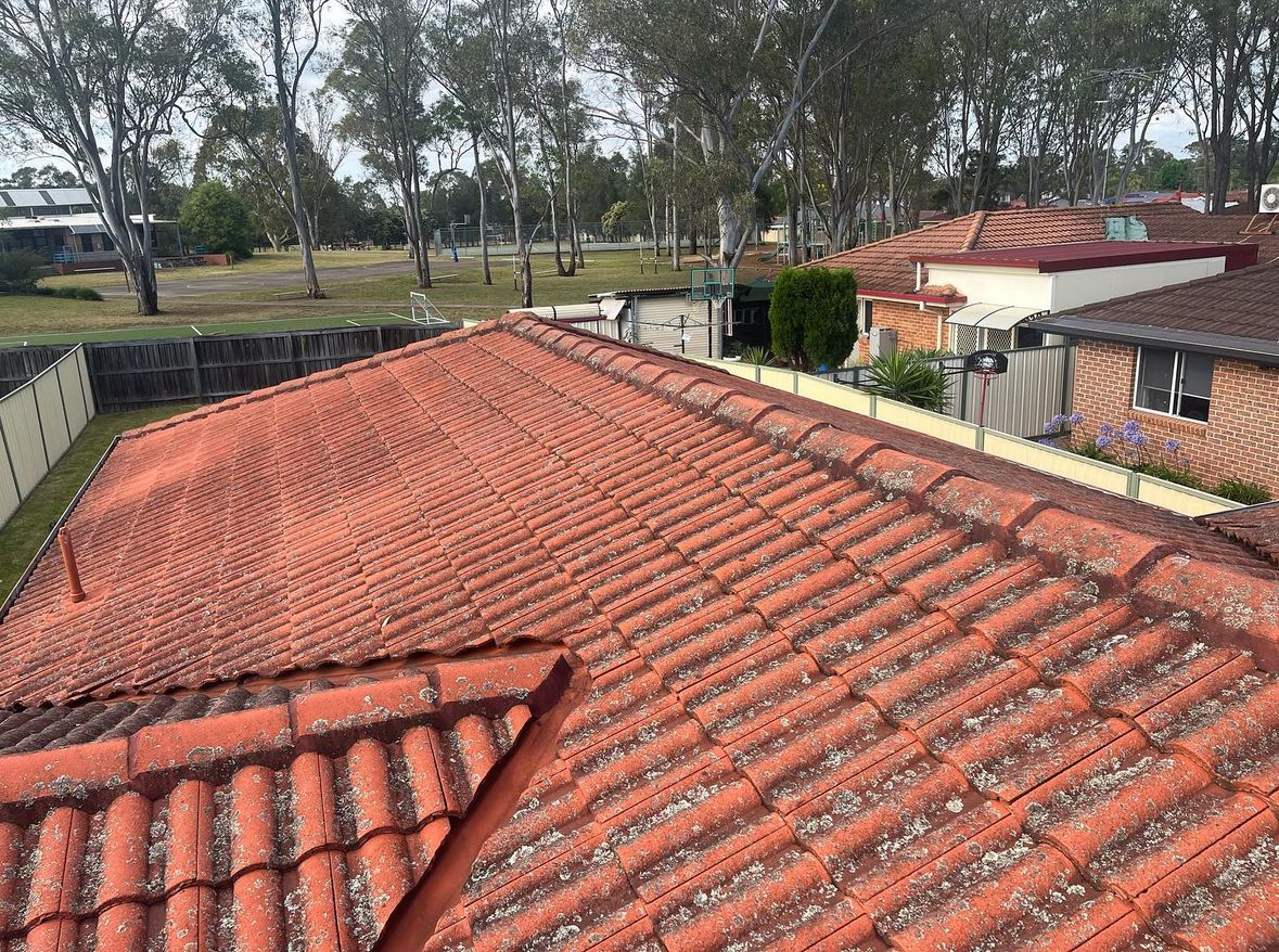 Sydney tile roof before restoration, faded and covered in lichen